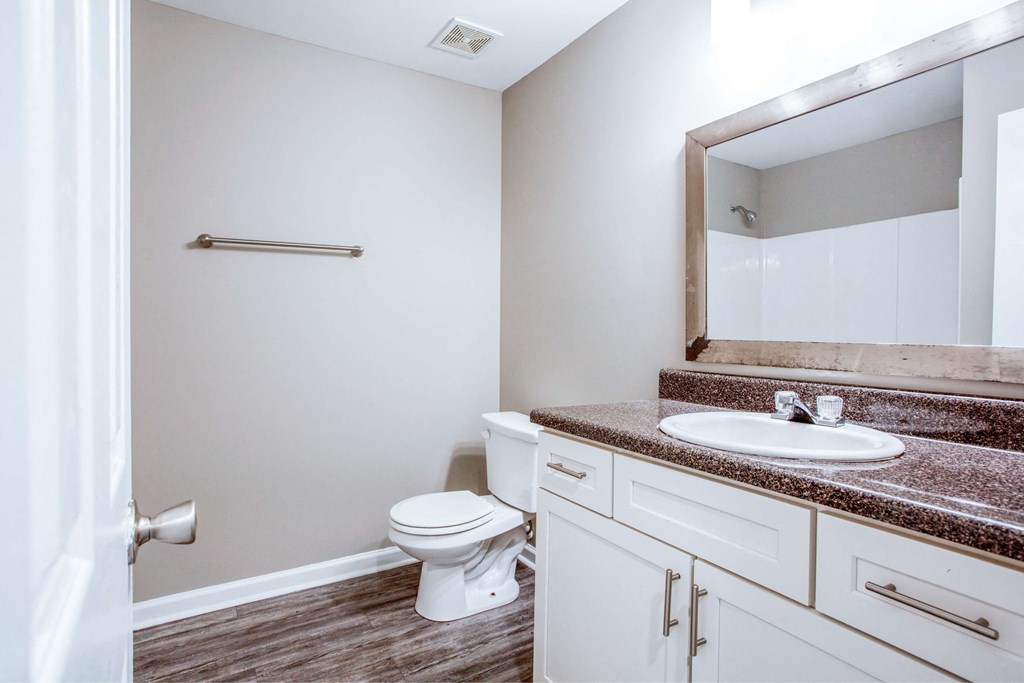 a bathroom with a toilet and a sink and a mirror