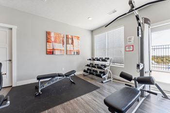 Free weights in our fitness center