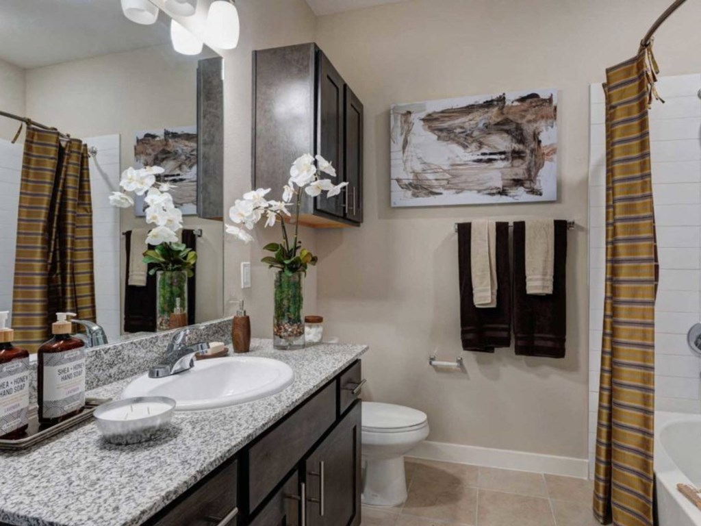 a bathroom with a sink and a toilet and a mirror