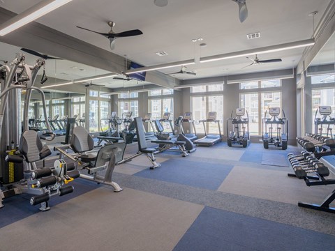 A spacious gym with a variety of equipment and a blue carpet.