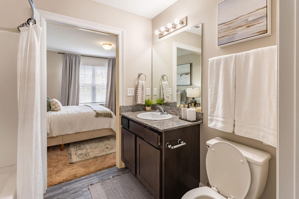 A bathroom with a toilet, sink, and mirror.
