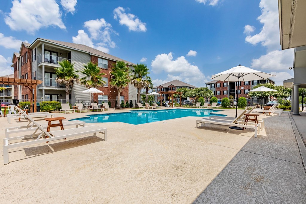 A large swimming pool surrounded by sun loungers and palm trees.