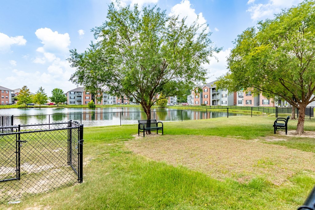 A park with a fence, benches, and trees.