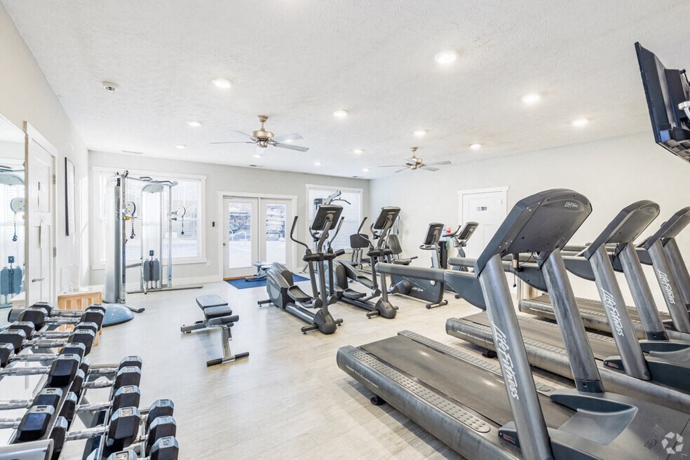 a gym with rows of cardio machines and a large window