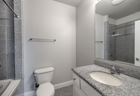 a bathroom with a toilet and a sink and a mirror