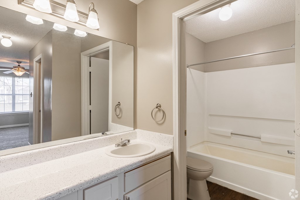a bathroom with a sink and a mirror and a shower and a toilet