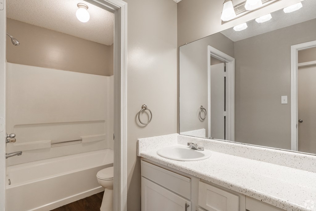 a bathroom with a sink and a mirror and a toilet