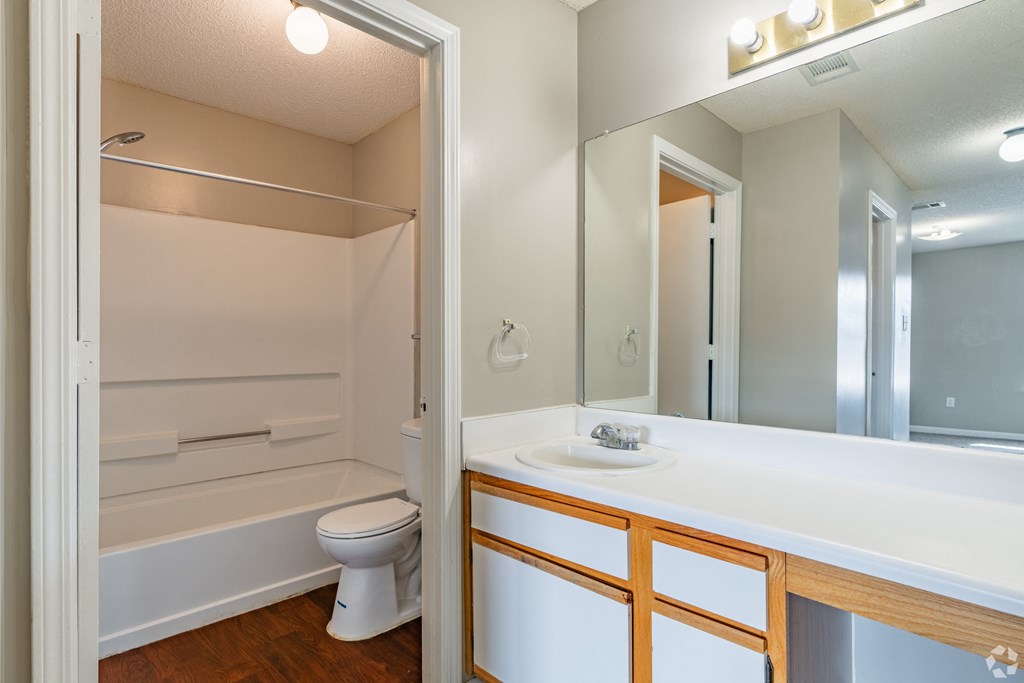 a bathroom with a toilet and a sink and a mirror
