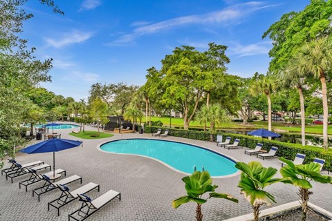 A pool surrounded by palm trees and lounge chairs.