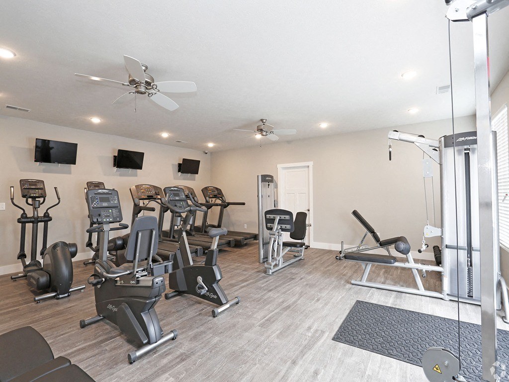 the gym has plenty of cardio equipment and a large screen tv
