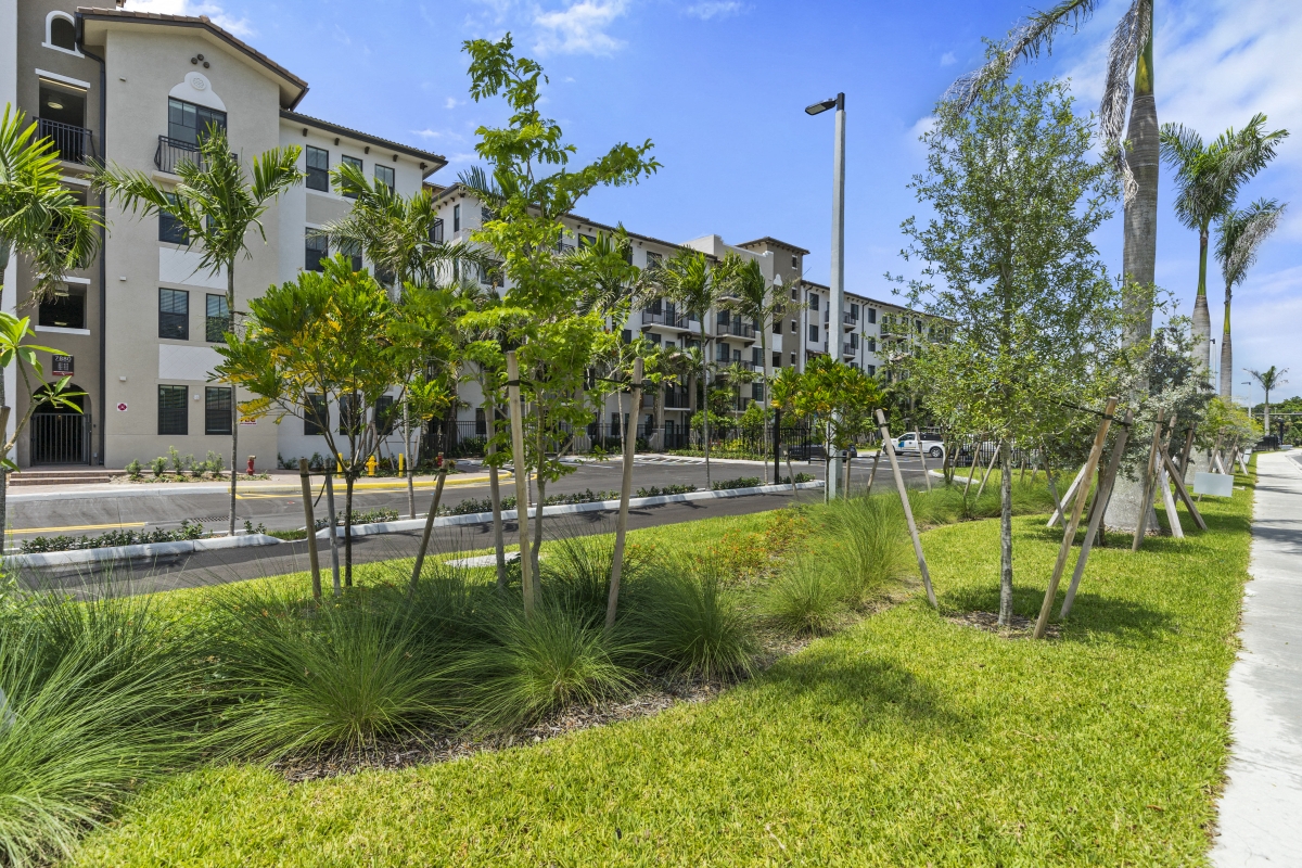 Ventura Pointe Apartments In Pembroke Pines