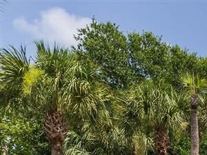 Granite at Porpoise Bay Apartments Daytona Beach pool and clubhouse - Photo Gallery 5