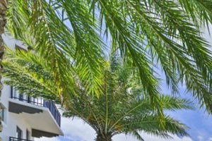 Image for Ventura Pointe Apartments In Pembroke Pines - 7850 Pasadena Blvd.