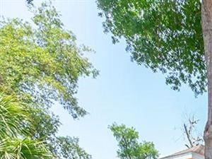 lake forest apartments daytona leasing office exterior - Photo Gallery 4
