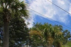 meetinghouse collins cove senior apartments jacksonville pool shallow - Photo Gallery 4