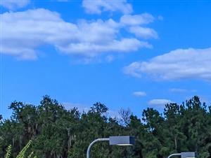 tallahassee apartments tennis court - Photo Gallery 5