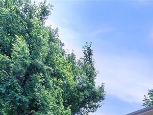 town homes for rent amarillo tx - Photo Gallery 4