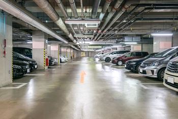 Neighborhood Parking