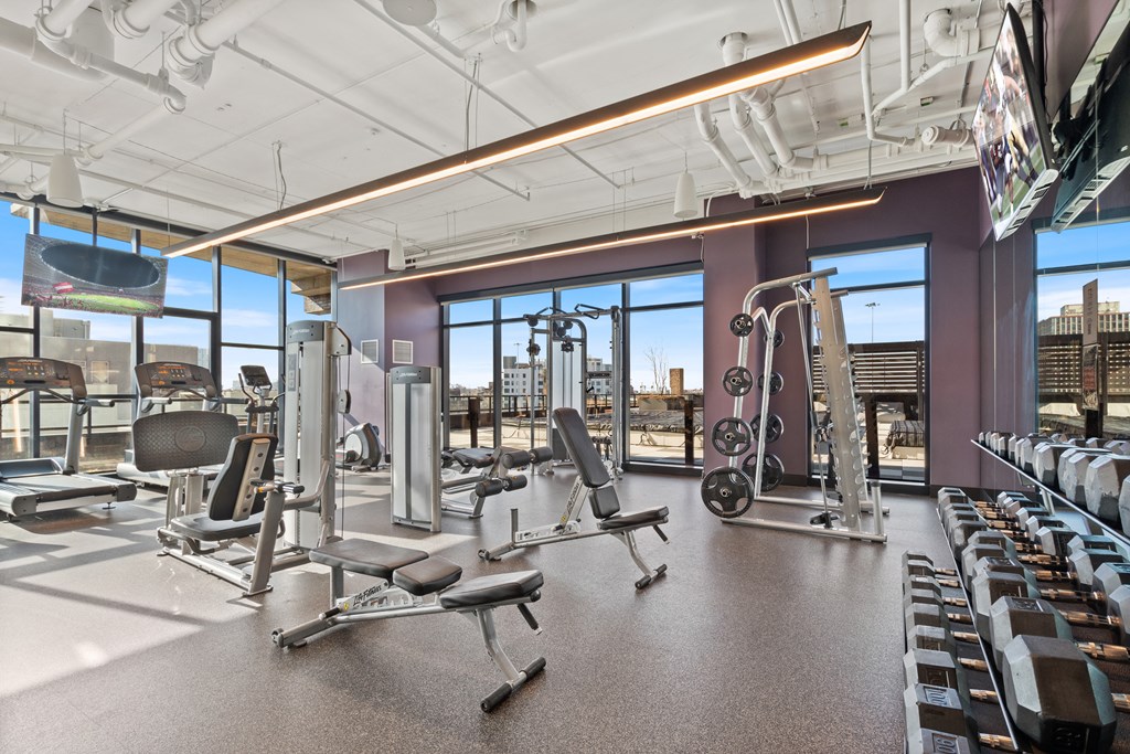 a gym with weights and cardio machines and a view of the city