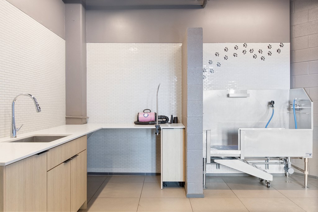 a bathroom with a sink and a chair and a shower