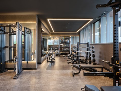 A gym with a variety of equipment including a squat rack, bench, and weights.
