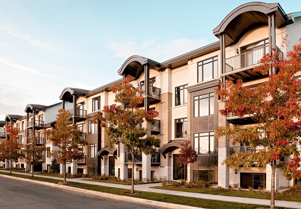 a rendering of a row of townhouses with trees in front of them