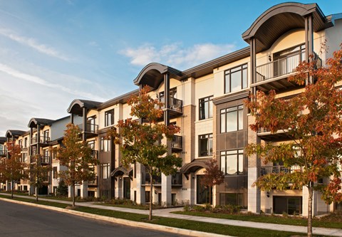 a row of apartment buildings on a street with trees