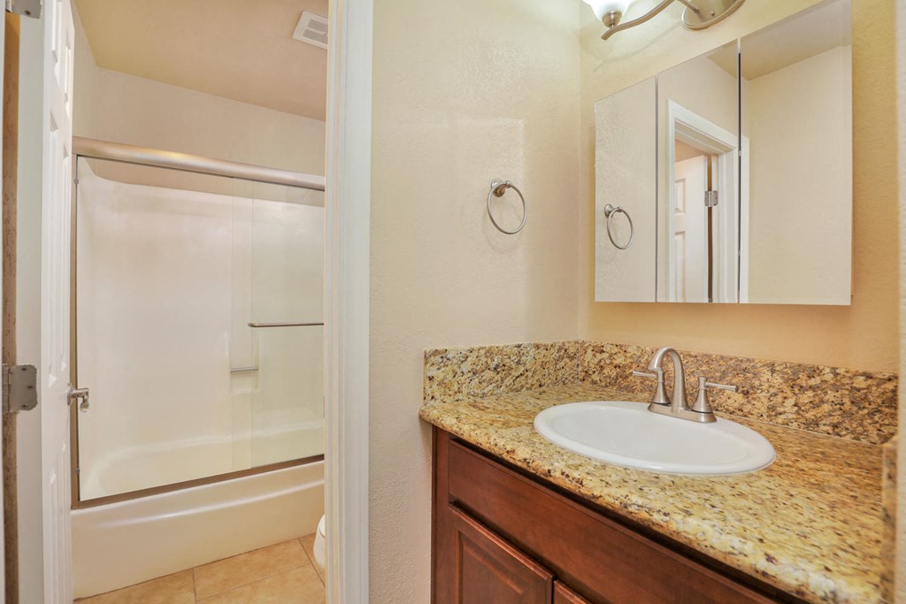 a bathroom with a sink and a shower