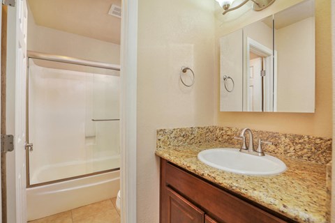 a bathroom with a sink and a shower