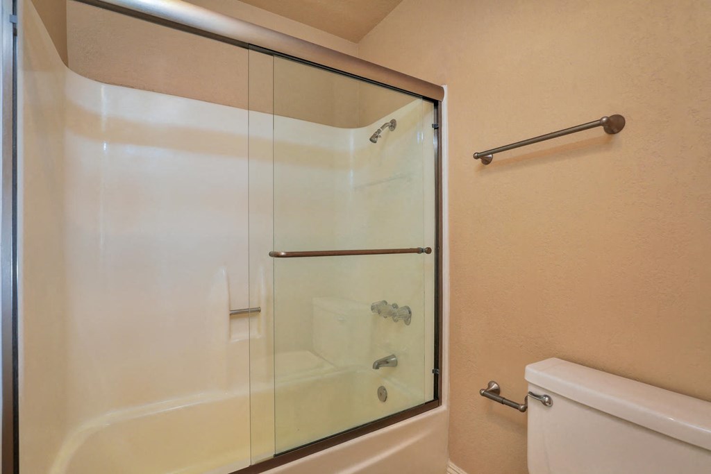 a bathroom with a shower and a toilet