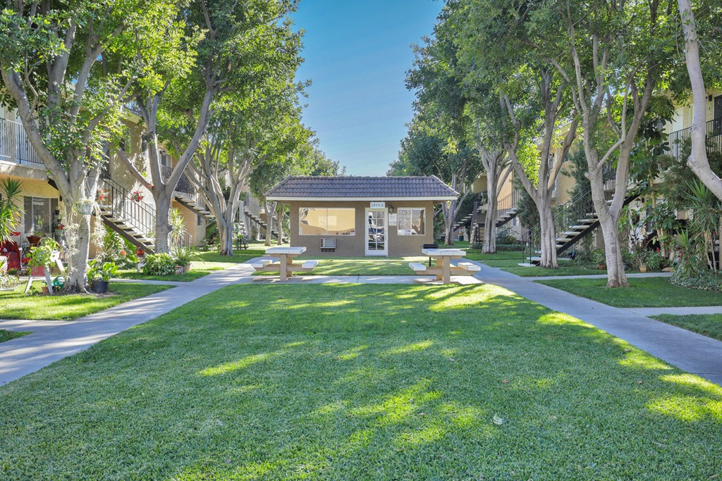 a picnic area in the middle of a park