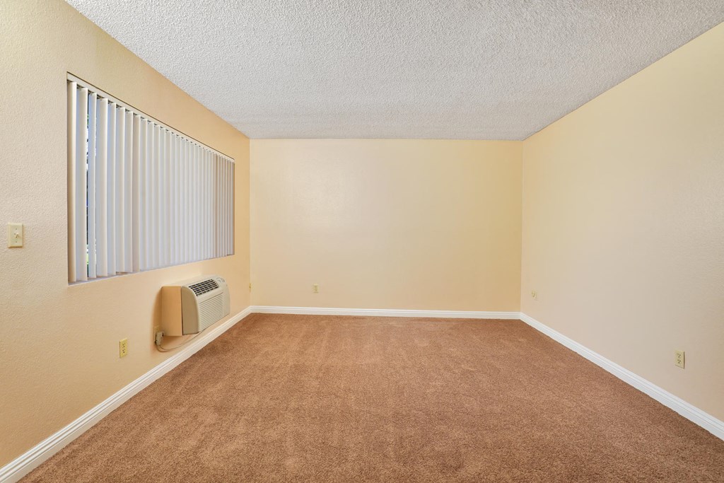 an empty room with carpet and a window