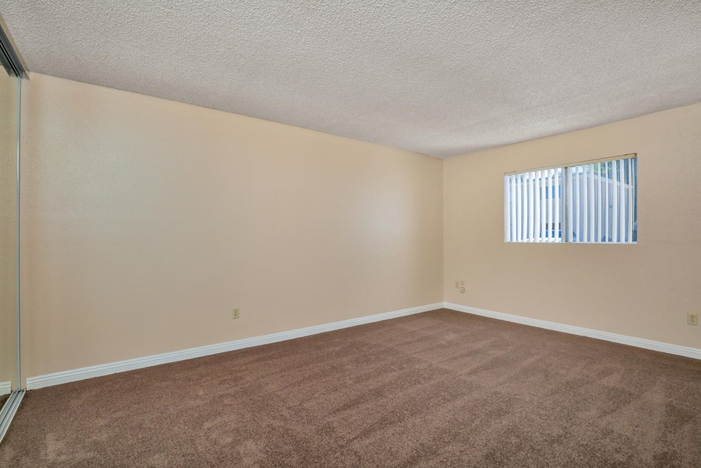 an empty living room with carpet and a window