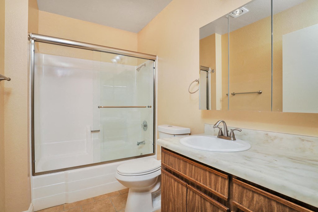 a bathroom with a shower toilet sink and mirror