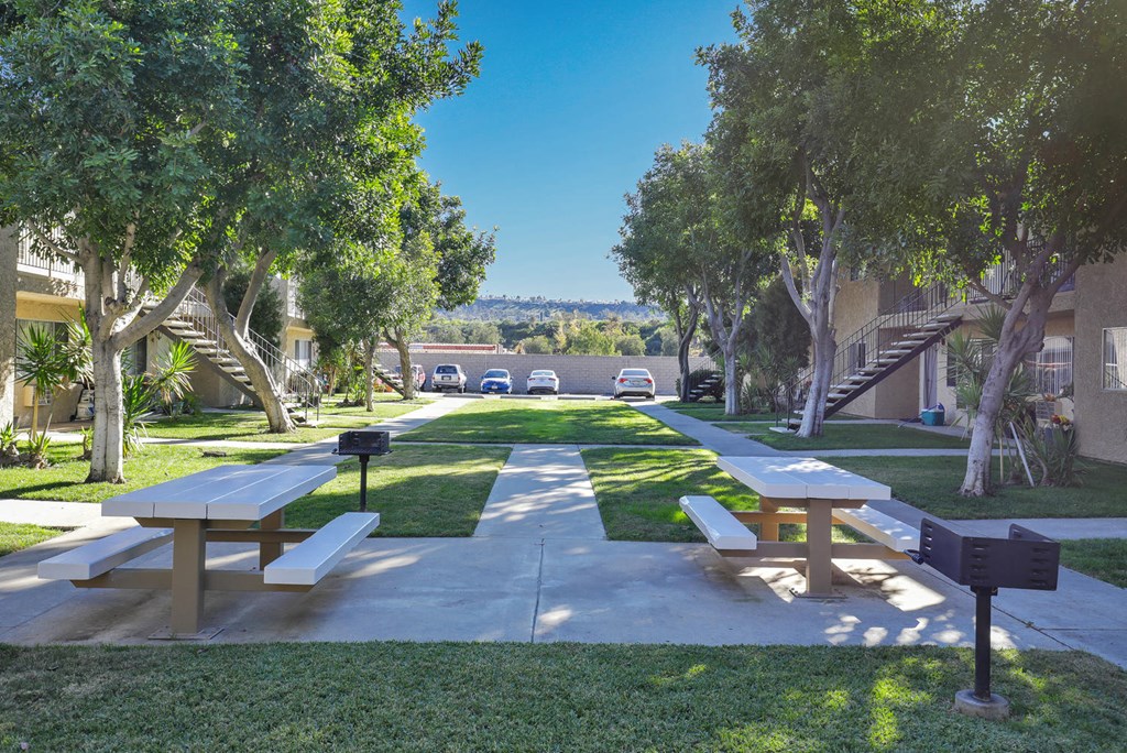 a picnic area with benches and trees in a park