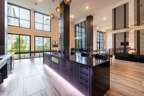 Clubhouse Kitchen with Lounging Areas