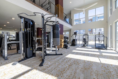 Expansive High-Endurance Fitness Center with Cardio, Cross-fit, Resistance & Free Weights