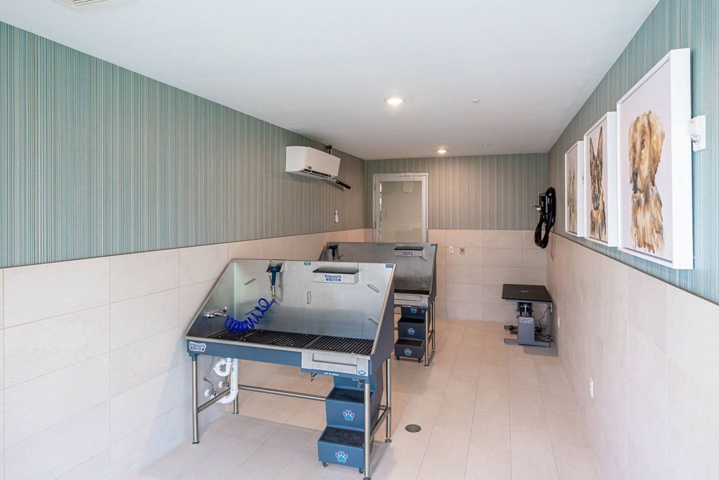 a kitchen with a stove and a sink