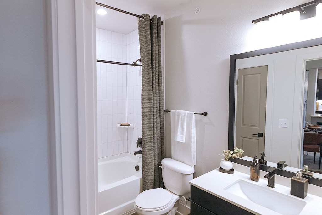 a bathroom with a shower toilet and sink and a mirror