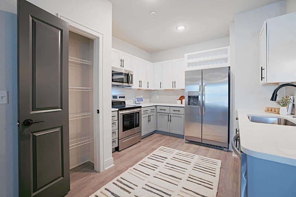 a kitchen with stainless steel appliances and a rug