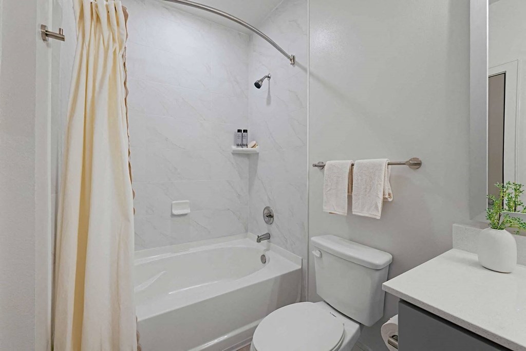 a bathroom with a tub and a toilet and a sink