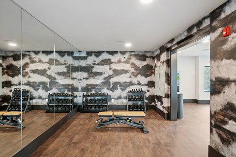 A gym with a row of benches and weights.