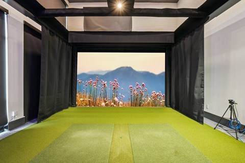 A room with a green carpet and a scenic view of mountains and flowers through the window.