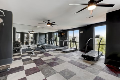 Fitness Center with Cardio, Resistance, & Free Weights