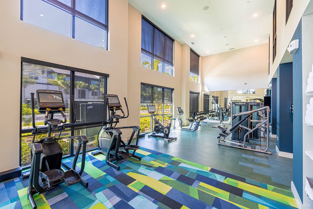 a gym with weights and cardio machines and large windows