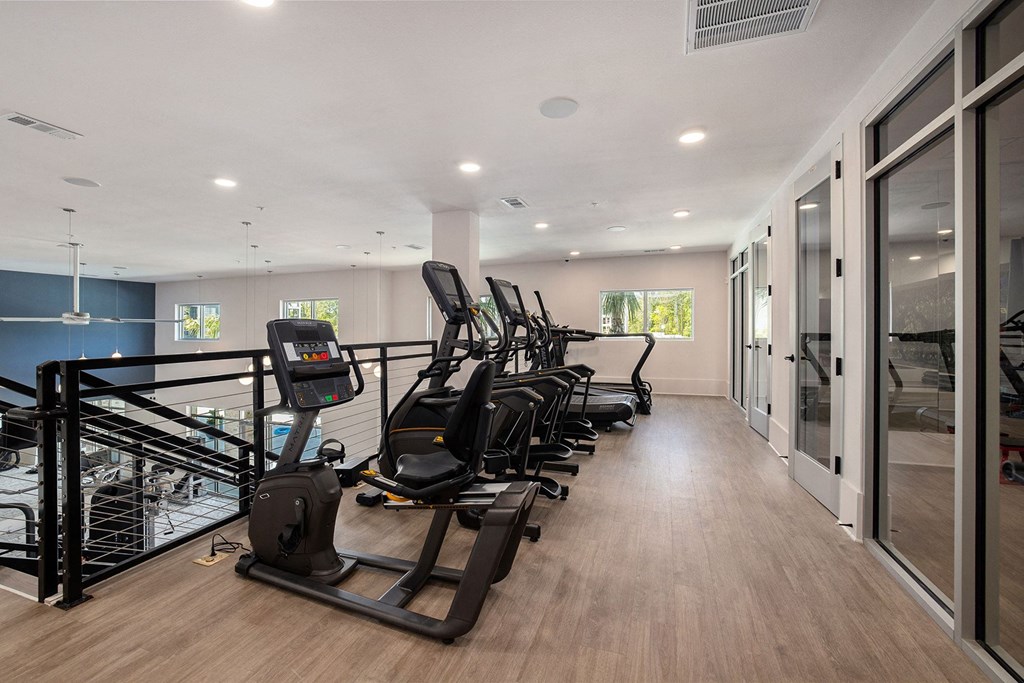 a row of treadmills in a fitness room with glass doors