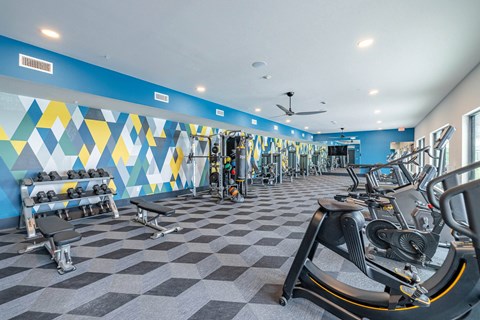 Fitness Center with Cardio, Resistance & Free Weights