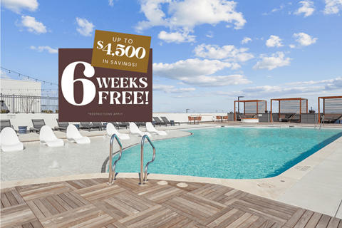 Roof-top Saltwater Pool