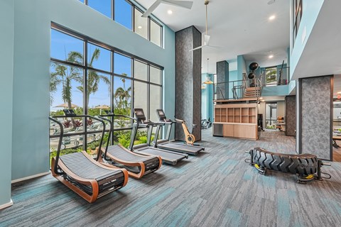 24-Hour Fitness Center with Cardio, Resistance Training, & Free Weights
