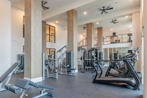 A gym with a variety of equipment including treadmills, weights, and a bench press.
